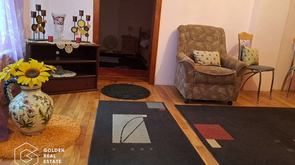 Casa mare cu 2 spatii comerciale, in Faget - Poză 11