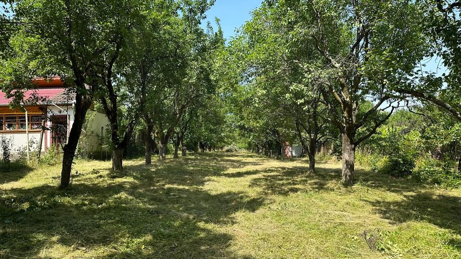 Teren 2000 mp, cu utilitati, pozitionare deosebita, Tocile - Poză 2