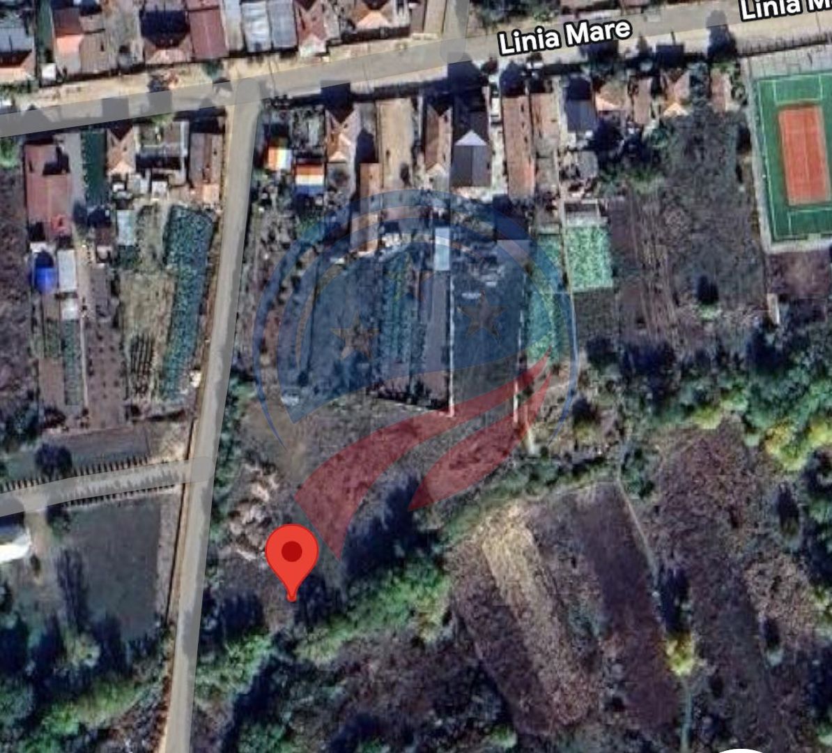 Teren de vanzare/ Secui/ Teasc/Dolj - Poză 3