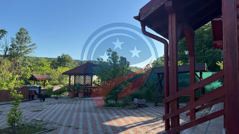 Casa la 40 minute distanta fata de Craiova - Poză 10