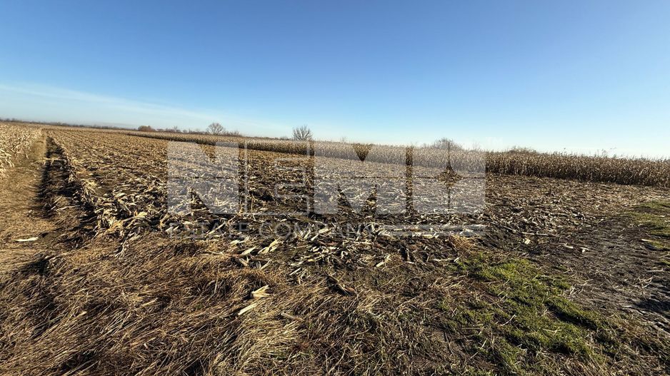 TEREN EXTRAVILAN  51 ARI |  HORODNIC DE JOS  | - Poză 5