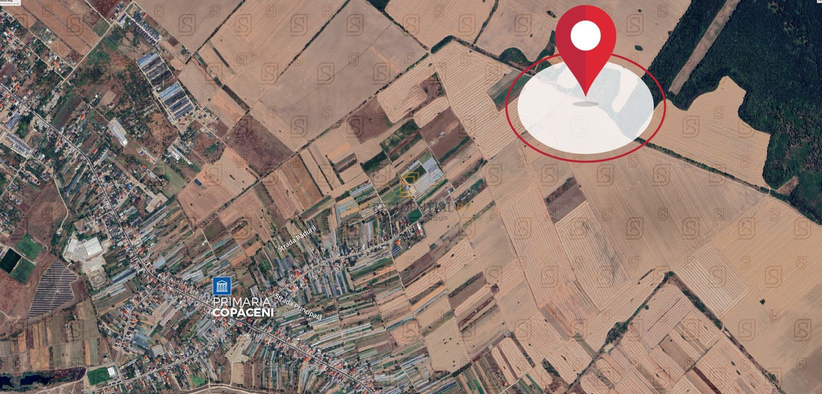 Teren intravilan 38.876 mp, Deschidere 72 ml, Copaceni, Vidra - Poză 3