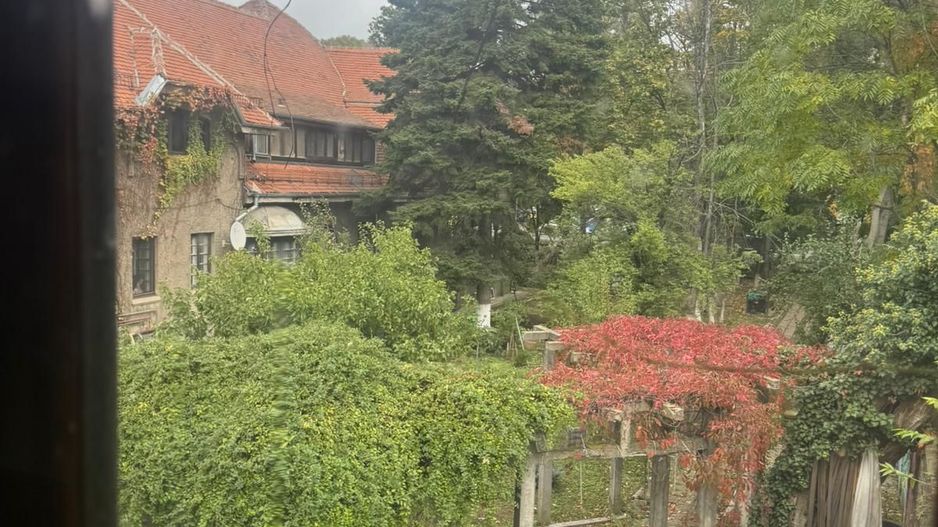 3 CAMERE || Kiseleff - Poză 9