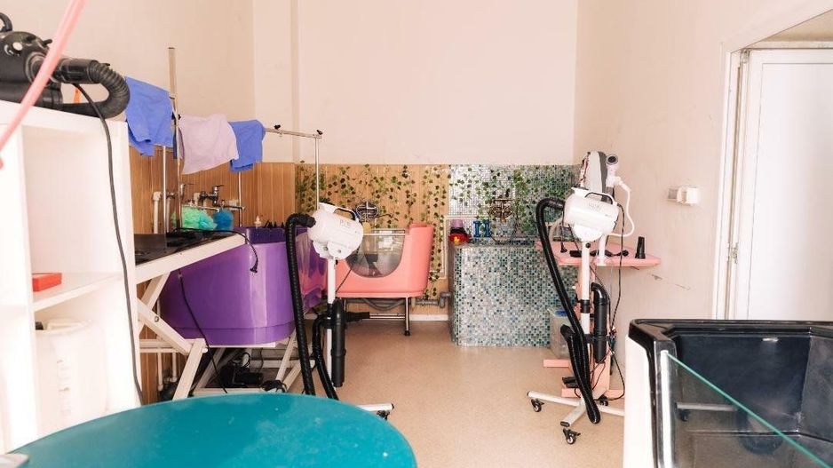 SPAȚIU VERSATIL DE VÂNZARE /  211 MP UTIL – 📍 Bulevardul Octavian Goga, Unirii - Poză 11