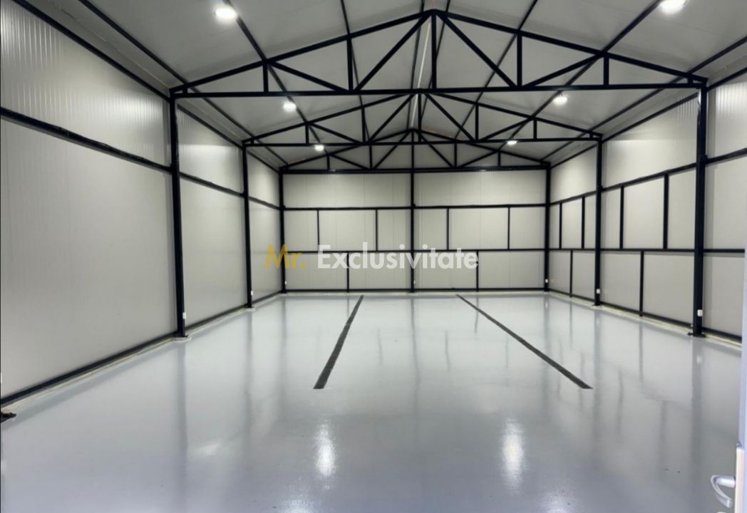De vanzare proprietate Podari – 2 hale industriale + casa și spatiu recreativ - Poză 7