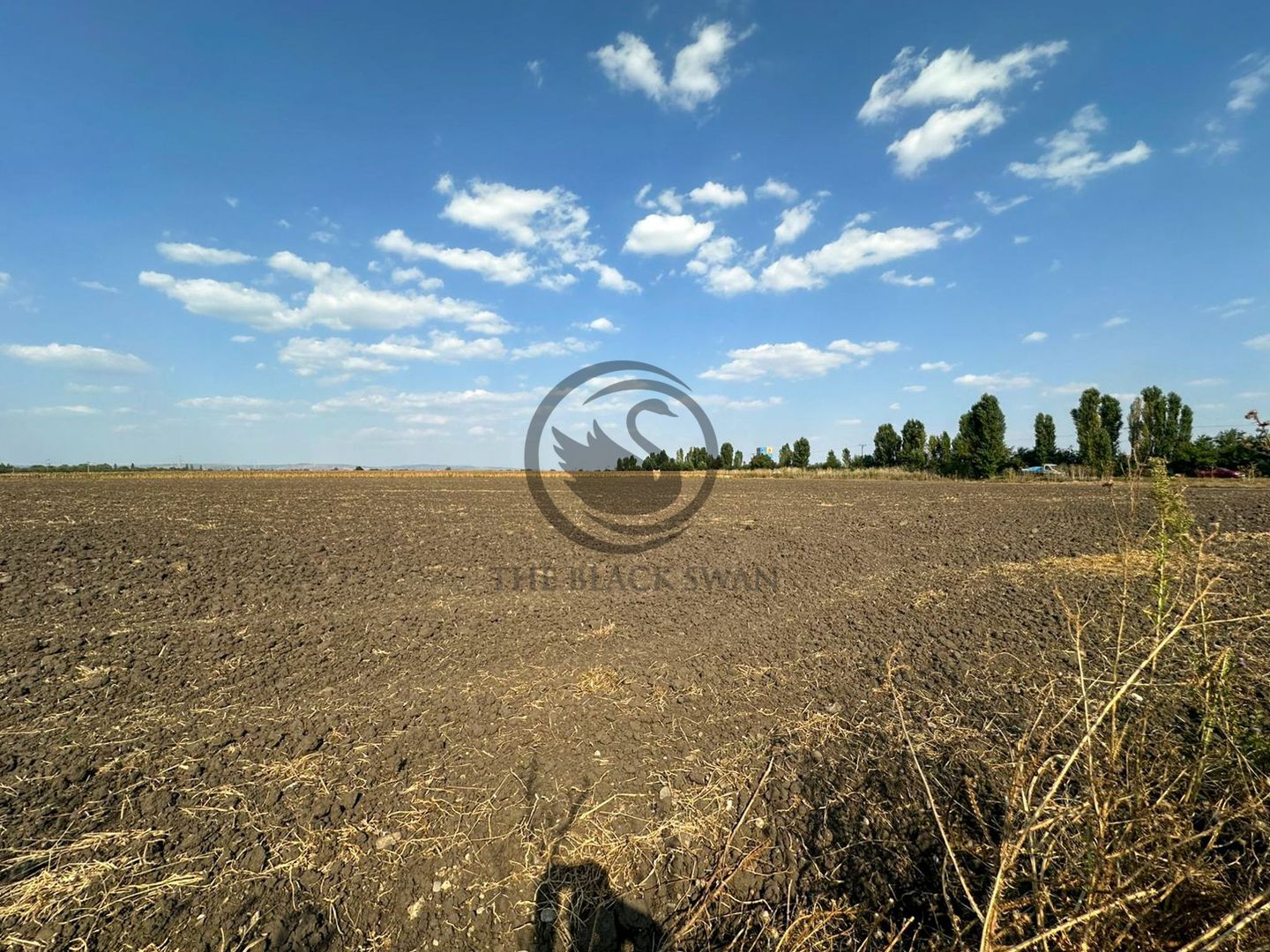 Teren extravilan de vanzare | 9882mp | Berceni - Prahova | Comision 0% - Poză 9