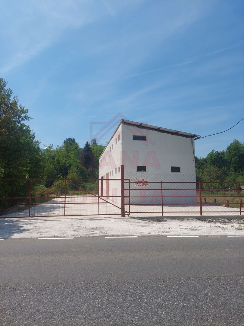 HALĂ DE VÂNZARE SAU ÎNCHIRIERE, ÎN  LOC.. BĂUȚAR, JUD. CARAȘ-SEVERIN - Poză 2