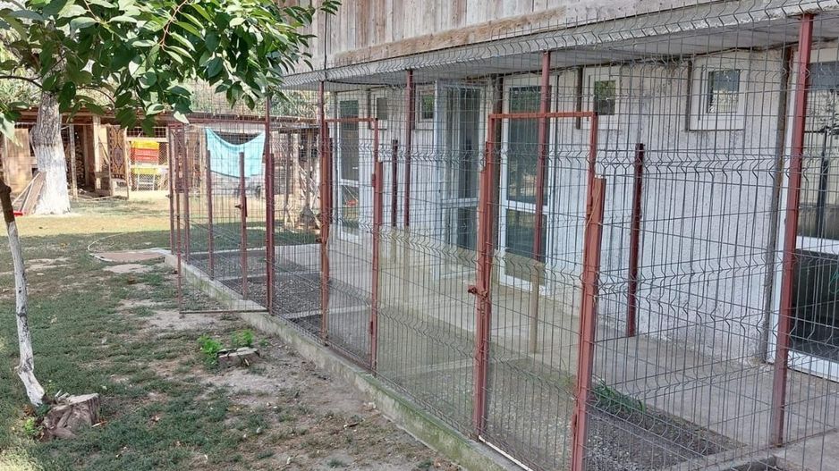 Casa de vanzare Cornățelu Dambovita - Poză 5