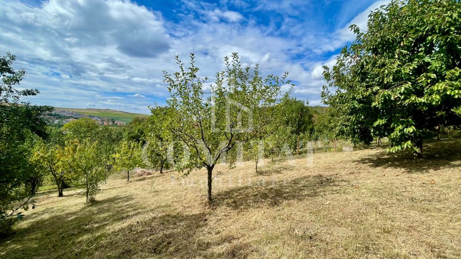 Casă + 1 apartament separat pe teren de 1.949 mp  cu panoramă Chinteni - Poză 29