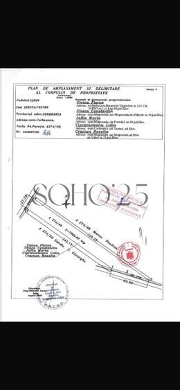 Coreanca  8000 mp intravilan - Poză 2