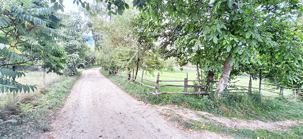 Bran Predelut teren intravilan de 2000mp, pret 27 euro/mp - Poză 2