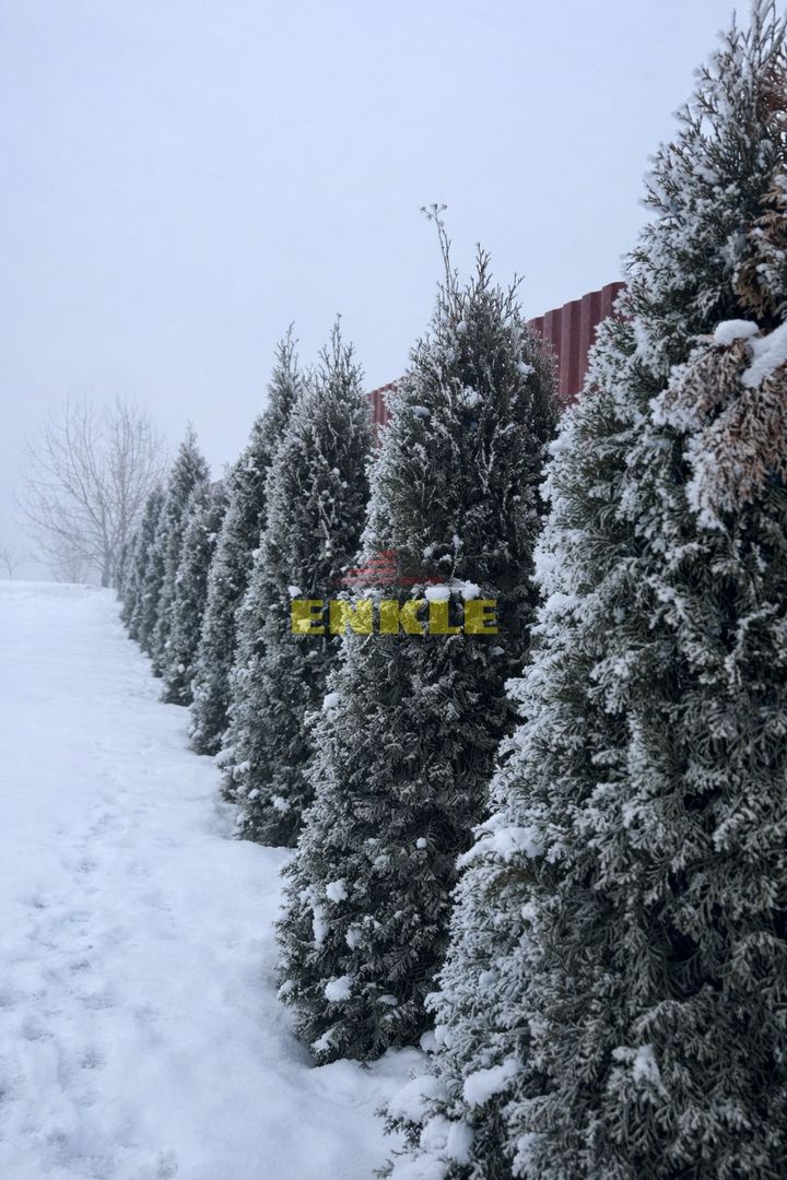 Oportunitate excelentă – teren generos + casă MOBILATĂ UTILATĂ - Poză 7