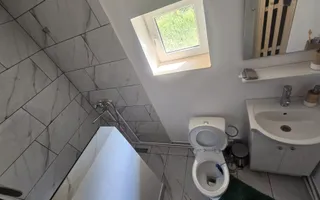 Oază de liniște și natură! Casă  cu 2 heleșteie și pârâu în curte – Probota - Poză 11
