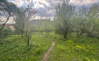TEREN INTRAVILAN 7018 MP CAMPULUNG - Poză 12