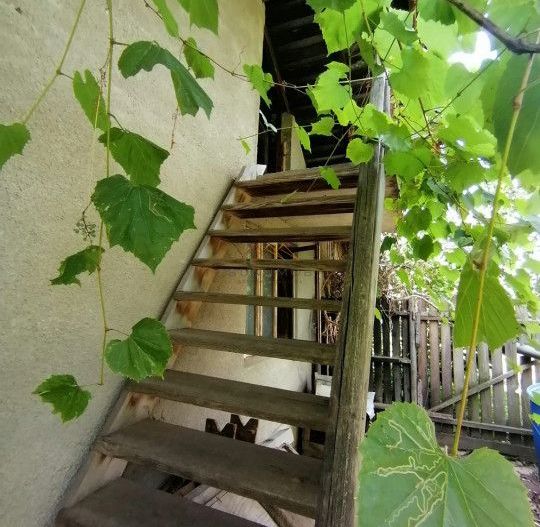 Casa 3 camere + Anexe, garaj, teren 2500 m2, an 1974, CT, Magurele, PH - Poză 6