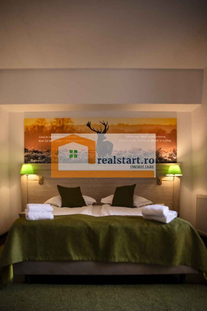 Langa Sighisoara, Inconjurata de Padure, Investitie, ROI min9% - Poză 20