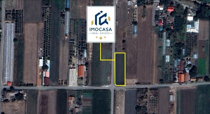 Teren intravilan generos 2 fronturi 900 mp Curtici Jud Arad - Poză 1