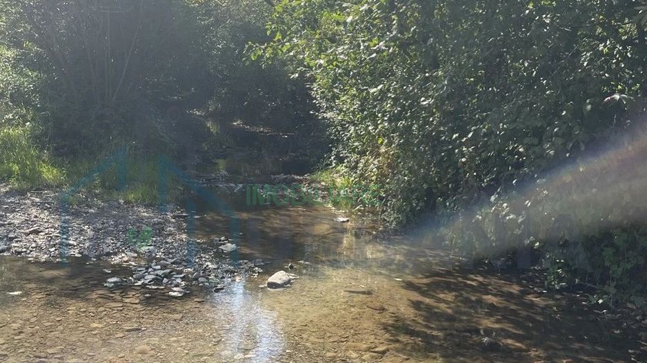 Teren de vânzare, 2.500 mp, Prisaca Dornei, zona Hurghiș, Câmpulung Moldovenesc - Poză 2
