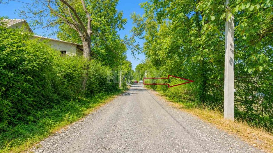TEREN PENTRU CONSTRUCȚIE – 12 ARI | FUNDUL GALBENEI, HÎNCEȘTI - Poză 4