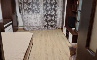 Apartament 1 camera COPOU - 330 EURO - Poză 2