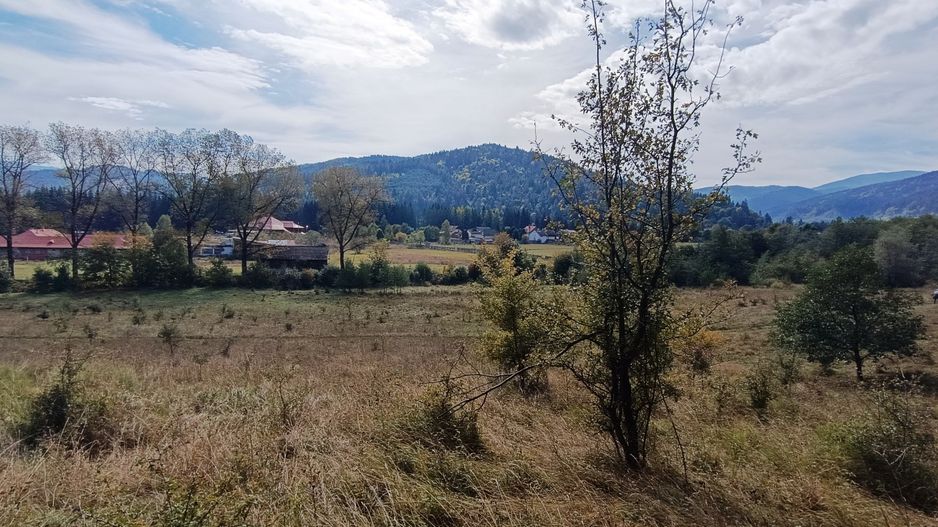 teren in zona Bradet-Sacele - Poză 5