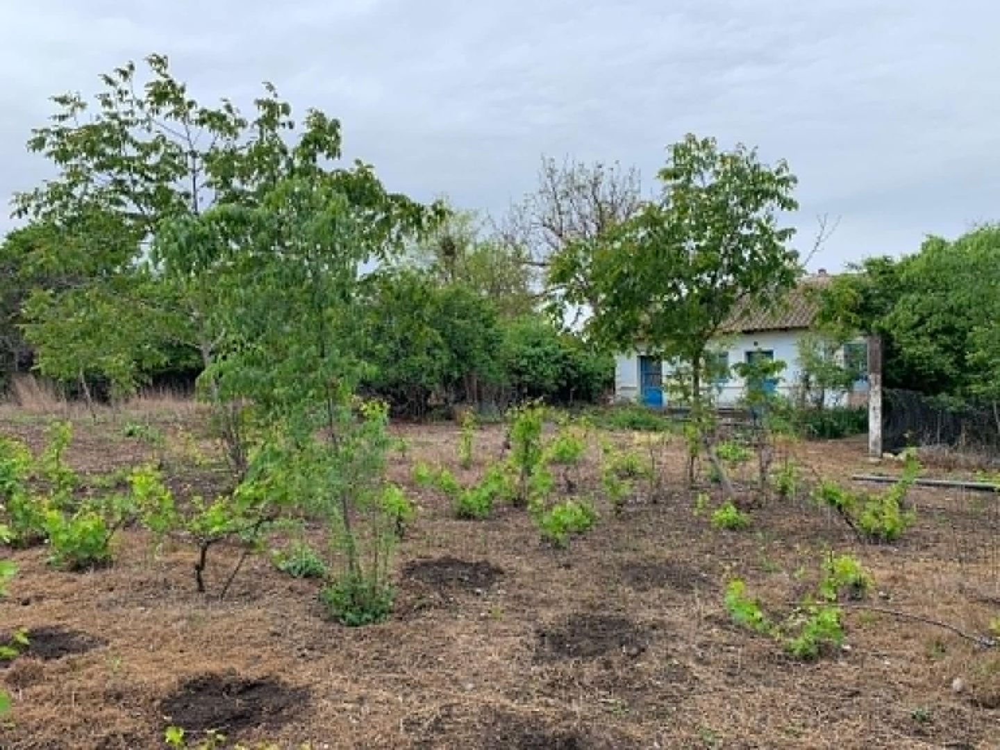 Teren intravilan 2562mp Loc 23 August | Ideal locuiță sau casă vacanță - Poză 6