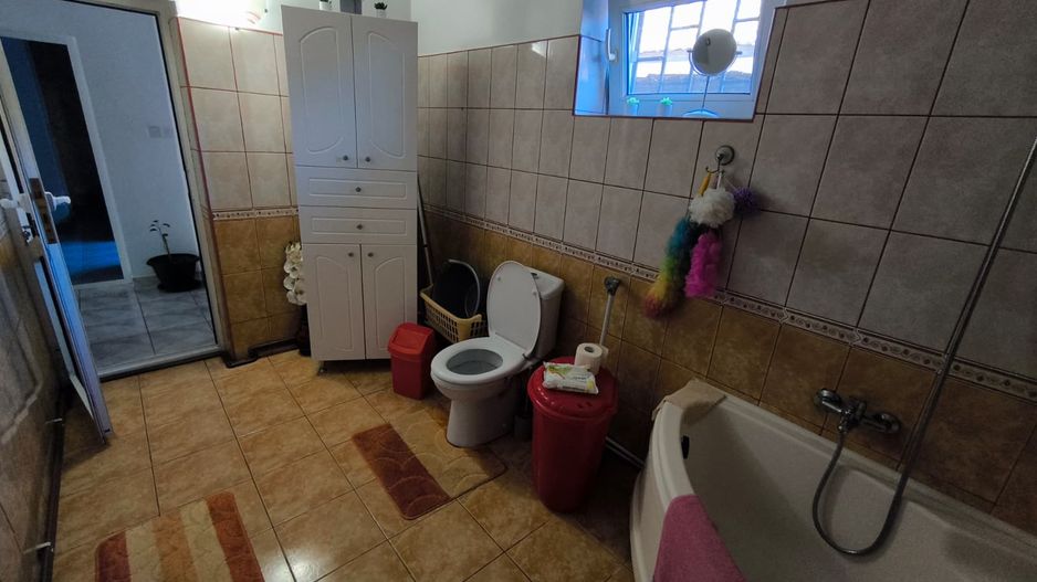 VIILE NOI - casa cu o curte generoasa disponibila imediat - Poză 11
