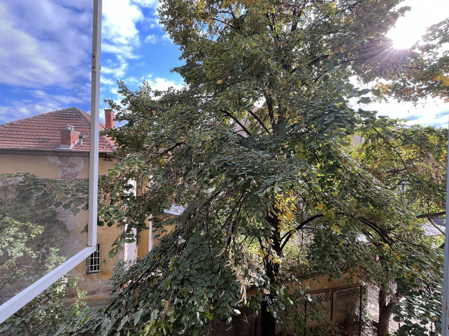 Tur virtual- 2 camere, primitor si luminos, cu garaj, in zona Centrala - Poză 31