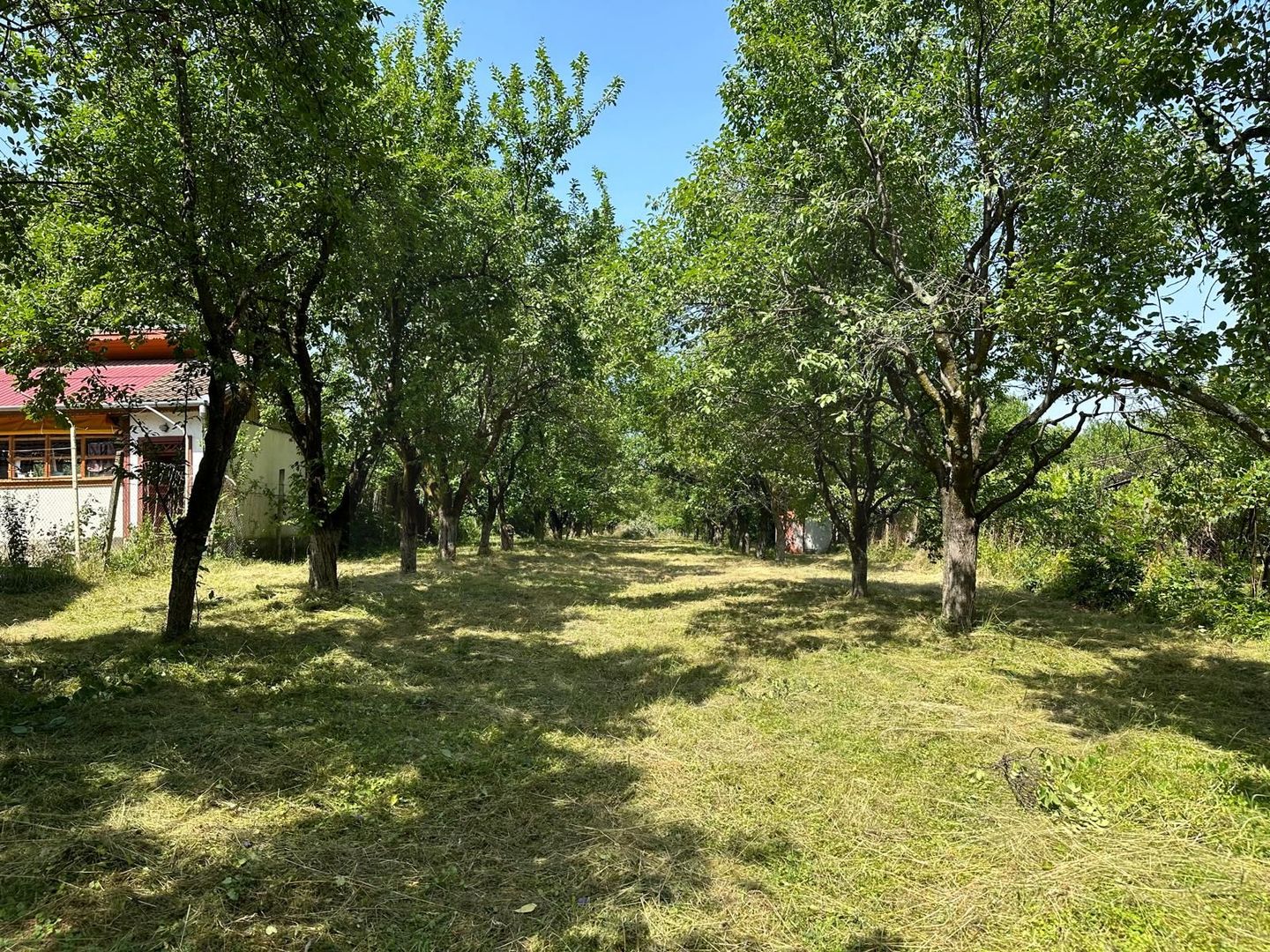 Teren 2000 mp, cu utilitati, pozitionare deosebita, Tocile - Poză 2