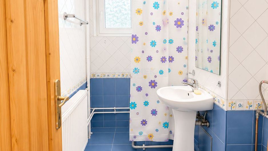 Spatiu comercial/birouri Calea Bucuresti7 zona Judetean - Poză 6