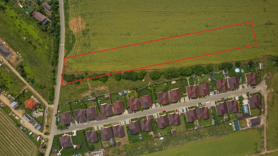 Teren intravilan, Balotești, Strada Cameliei 36, 10.000 mp - Poză 7