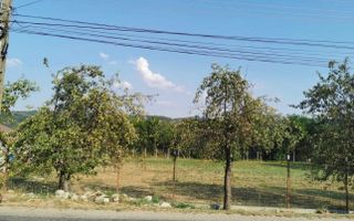 Teren de vanzare - Lupesti, com. Mănăstirea Cașin - Poză 1