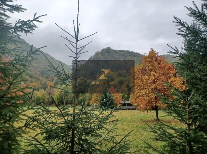 Teren de vis de vanzare in Remeti-Bihor-27p0 mp - Poză 11