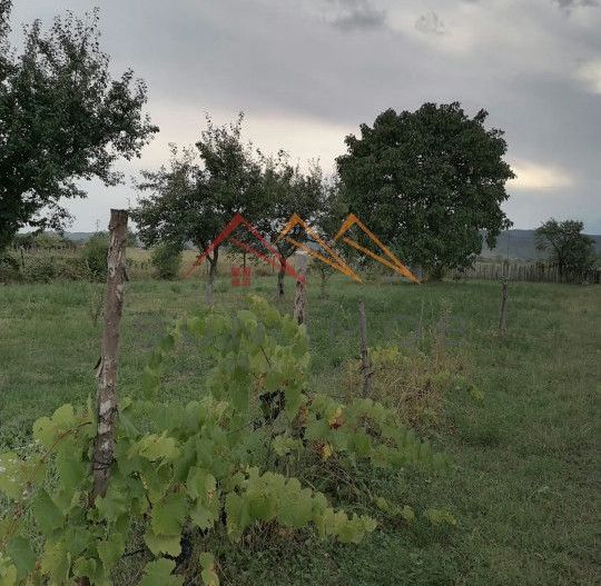 Casa rustica 3 camere, 4000 mp teren, cabana din lemn, pomi fructiferi - Poză 7