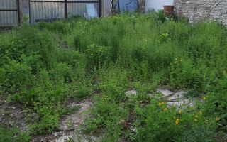 Teren 411mp Bucurestii Noi T647 - Poză 2