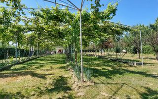 Teren intravilan 2.158 mp - Tropinii Noi, Sibiu | 2 parcele | Zonă Dumbrava - Poză 9