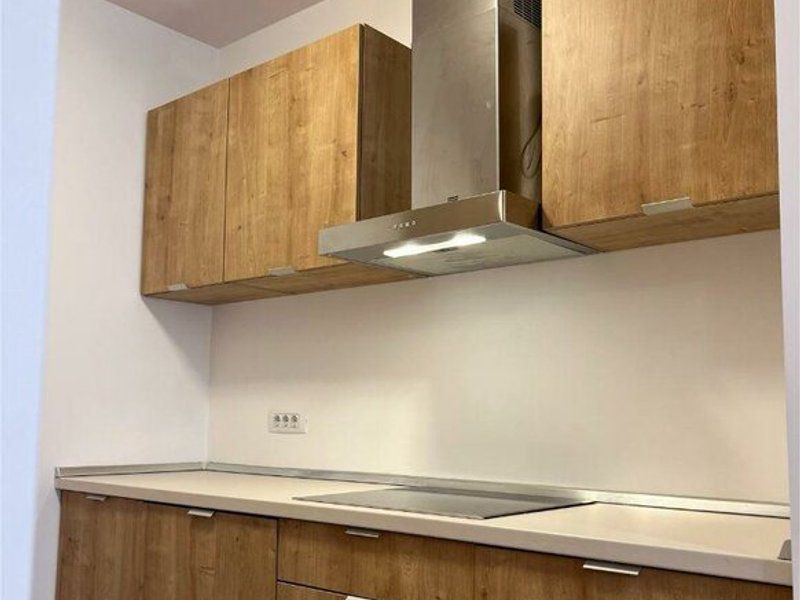 Inchiriere apartament 2 camere  One Floreasca Lake - Poză 3