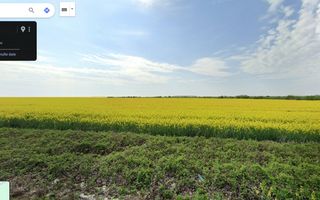 Teren 25.26ha Dascalu / DJ 200 - Poză 8