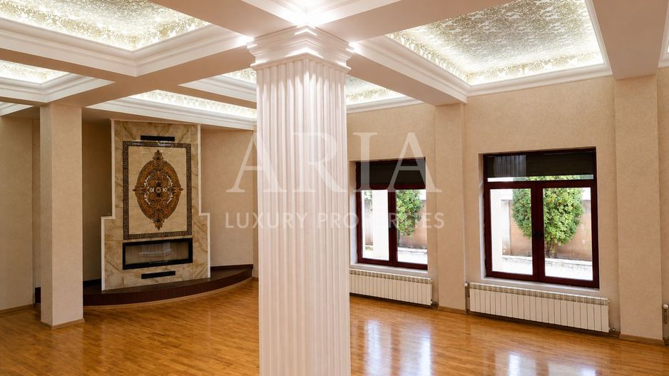 VANZARE VILA | HALA IN VLADICEASCA | SNAGOV | 10.500 MP TEREN - Poză 3