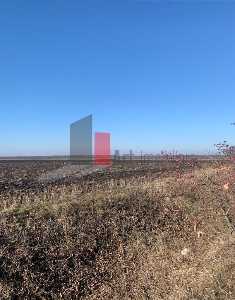 Vanzare Teren Intravilan 25.700 Stefanesti - Poză 3