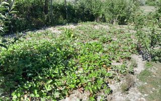 Casa individuala | 4 camere | Teren 2000 MP | Seica Mare - Poză 5