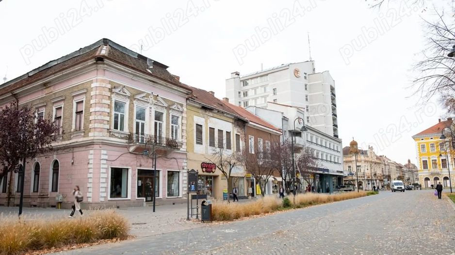 Spatiu Comercial Satu Mare - Poză 1