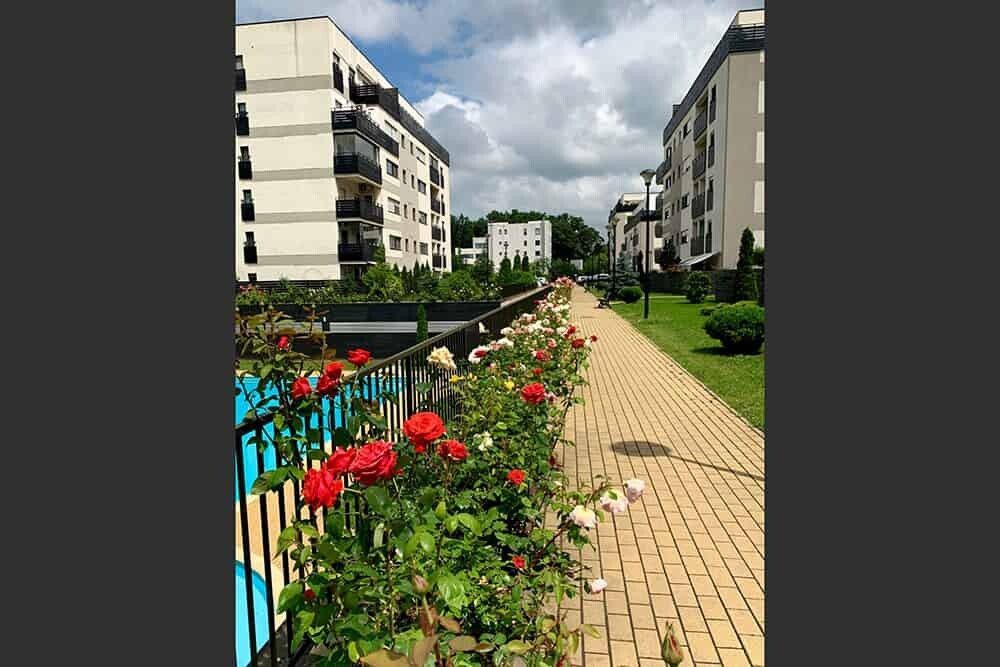 Apartament 3 camere | Natura Residence | Zoo - Poză 4