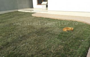 Vilă Cocheta de Vânzare în zona Steaua de Mare, Eforie Nord