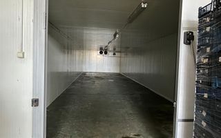 Hala de inchiriat Grădiște/Sere, Arad-761 mp - Poză 6