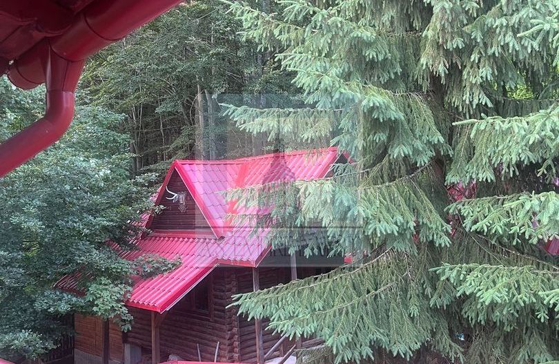 Pensiune/Vila de vanzare in Predeal - Poză 17