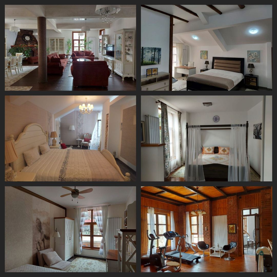 Vila Horezu Romanii de Jos - Poză 4