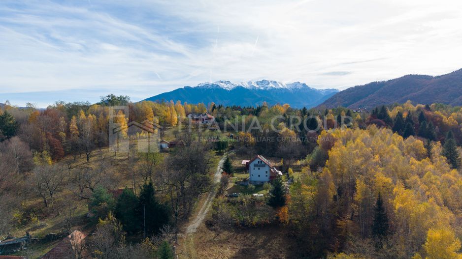 Teren intravilan, cu PUZ, Bran Tohanita,  SE ACCEPTĂ ȘI SCHIMB - Poză 10