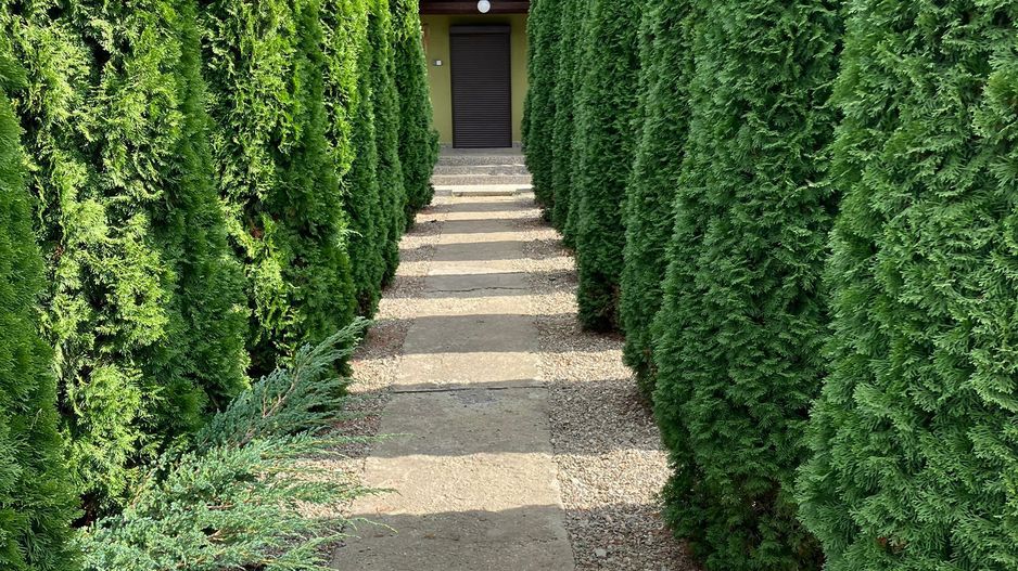 Casa in zona Lunca Marcusului - Poză 3