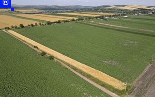 Teren - Orășeni Deal, Curtești | BOTOȘANI | 10.000mp - Poză 5